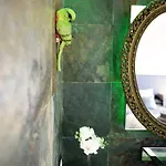 Iloftmalaga Luxury Garden