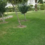 Study Near Malaga And The Beach