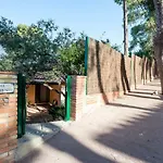 Entrepinares