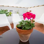 Adorable Apartment Ollerias