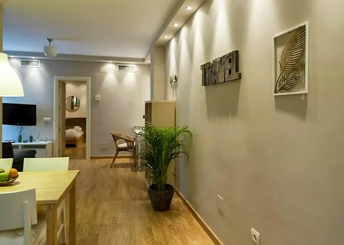 Charming Apartment In Malaga With Private Terrace 65 M² Air Conditioned
