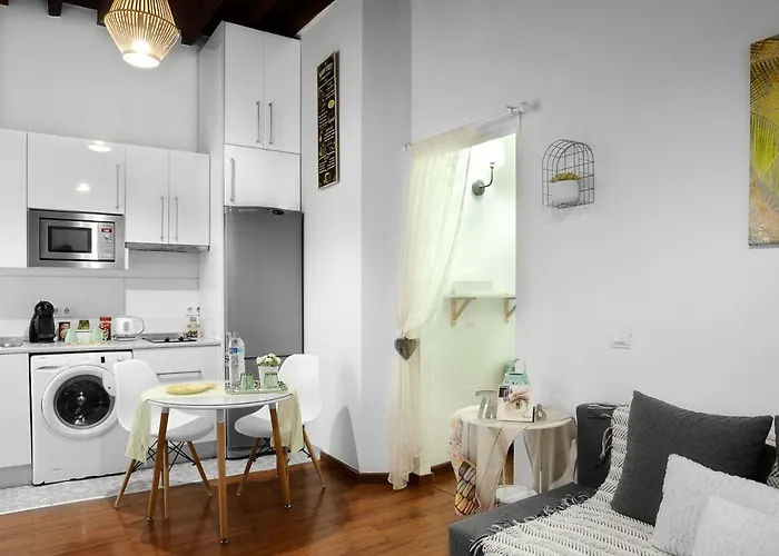 Frida Malaga Centro