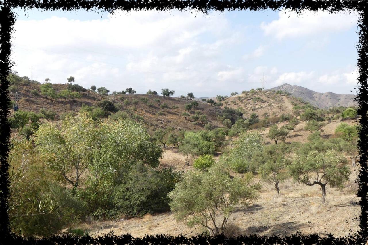 Holiday home Cortijo Casas Viejas
