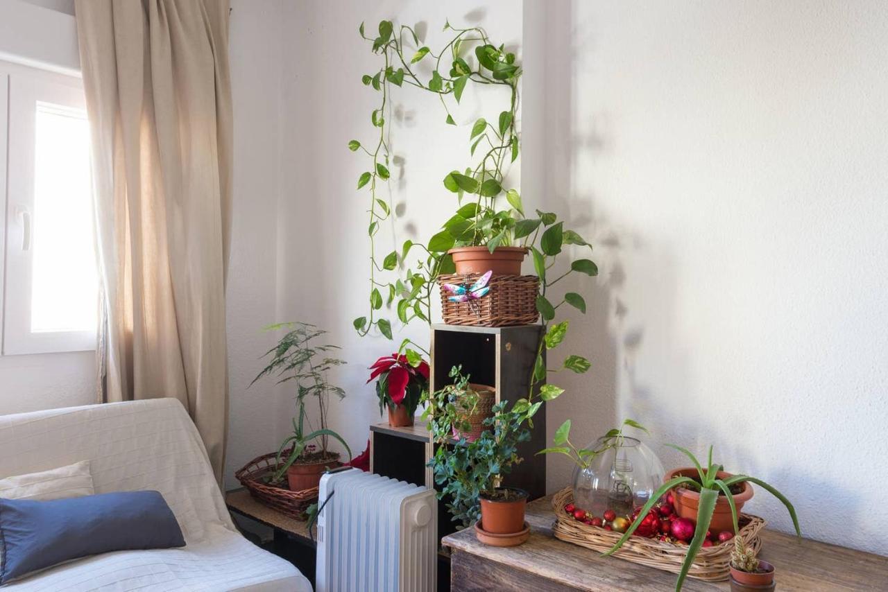 Privatunterkunft House Fata
