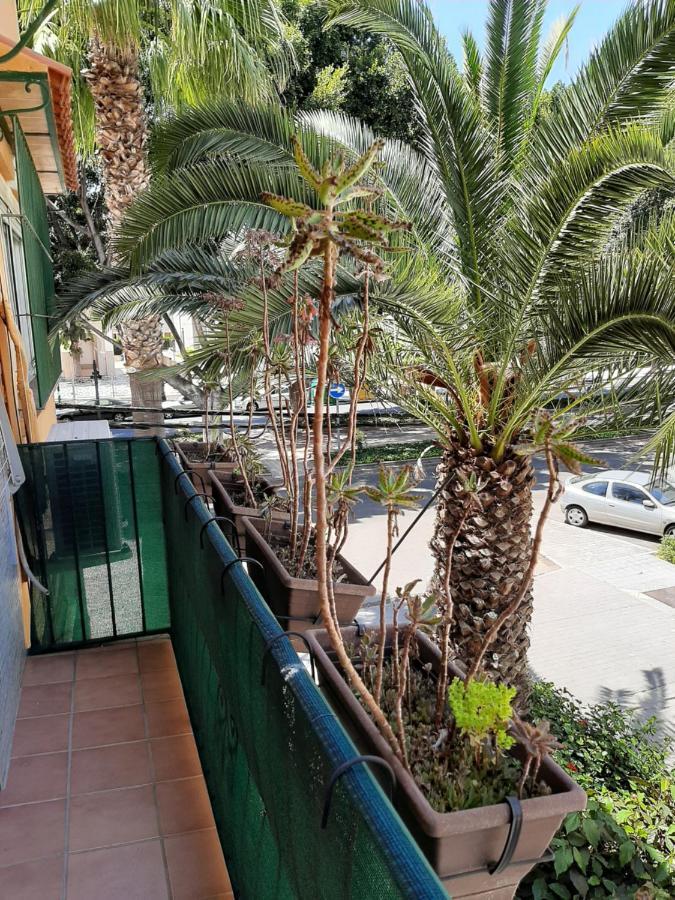 Apartamento New & Parking Alcazaba *