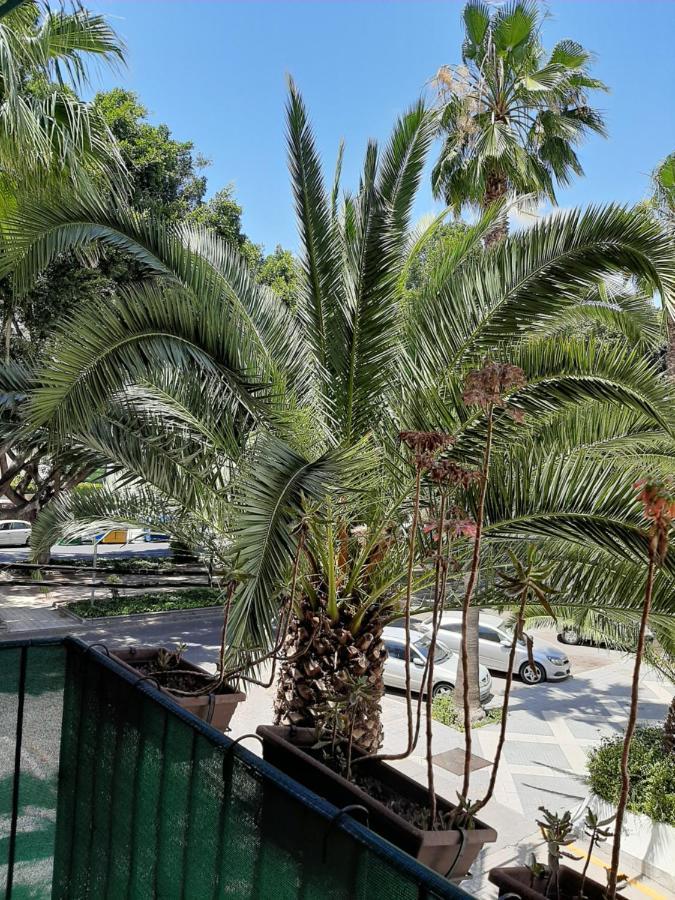 Apartamento New & Parking Alcazaba