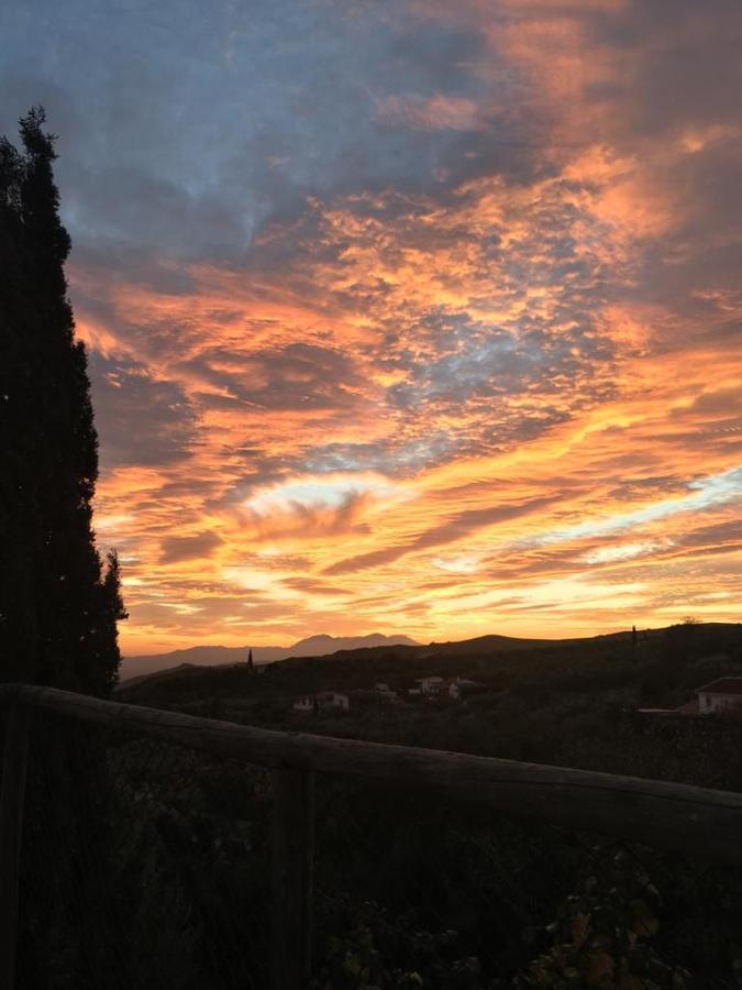 La Higuera Chica Holiday home Malaga
