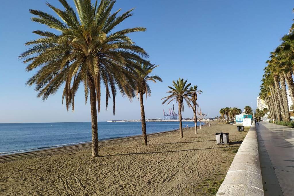 Center Málaga