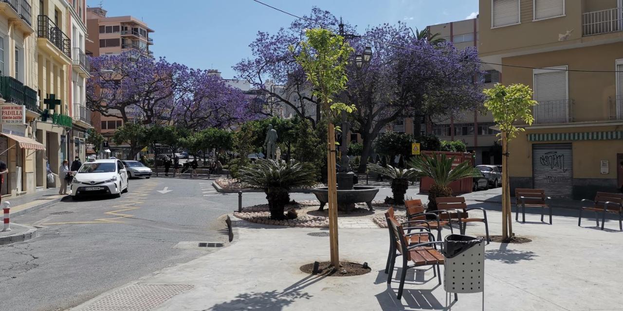 Encantador Bajo En Appartamento