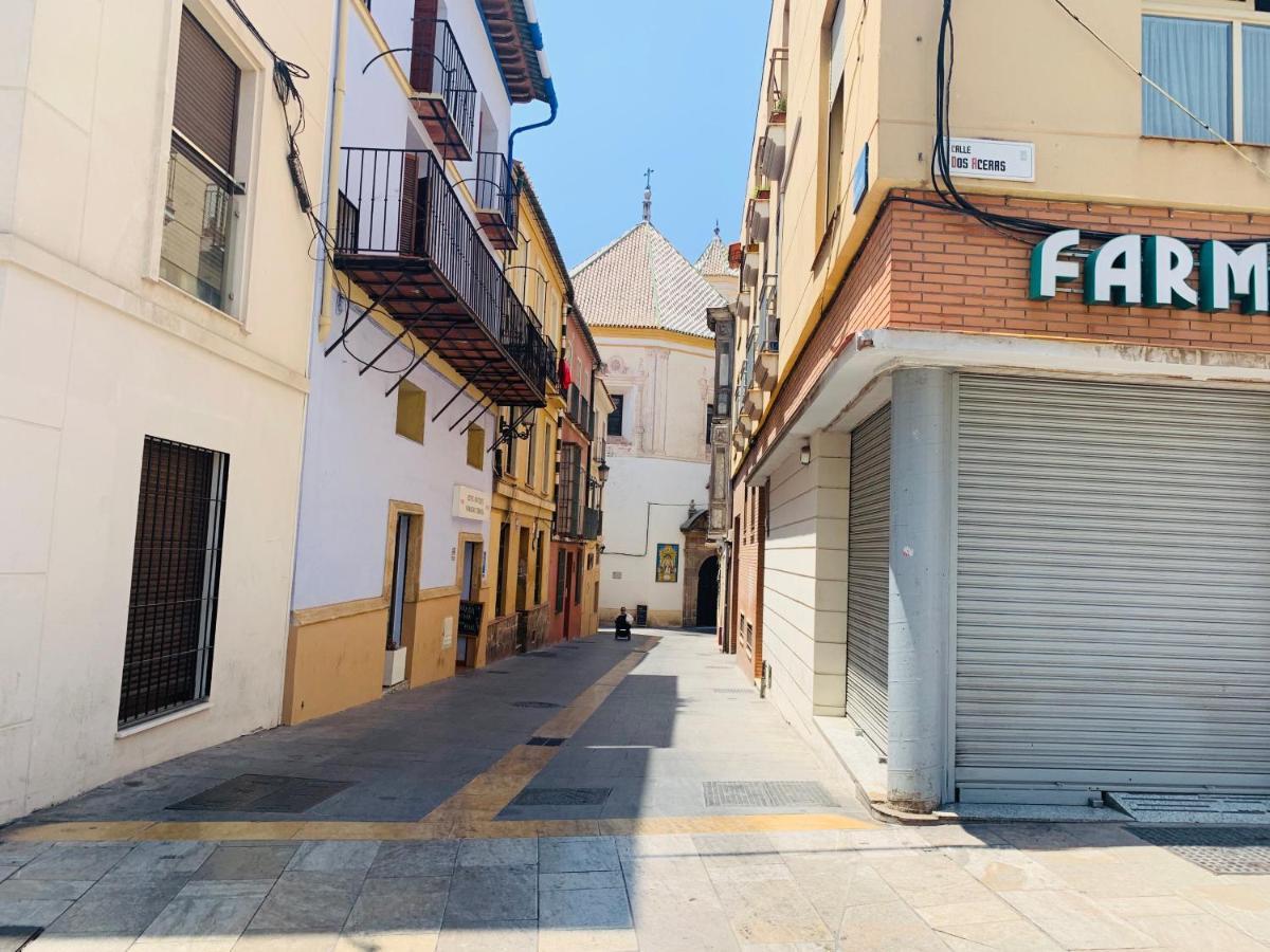 Homely Parras Con Terraza Málaga