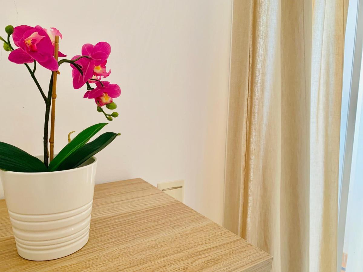 Homely Parras Con Terraza *