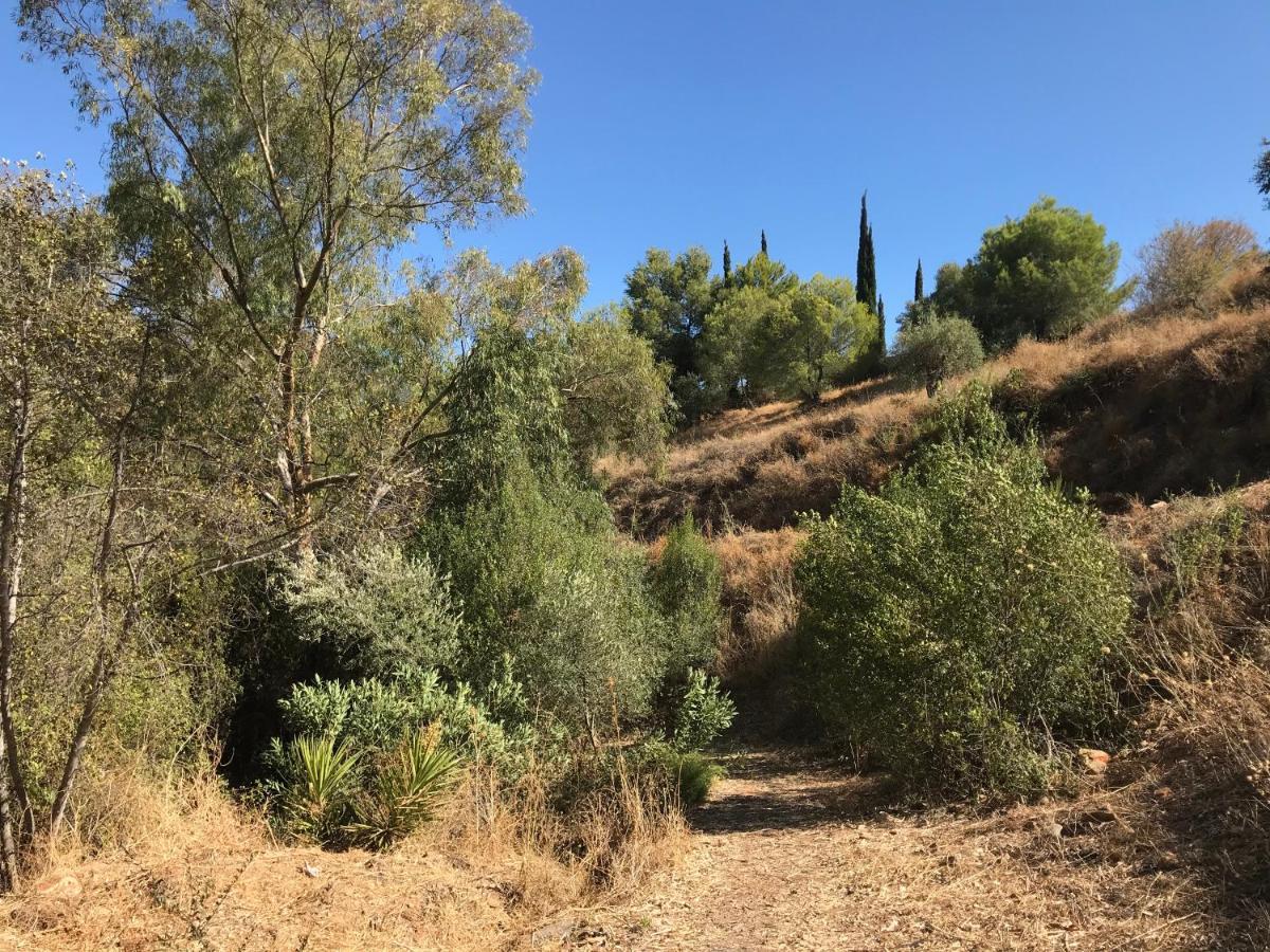 Views Apartment, Cortijo Fruitful Hills * Malaga