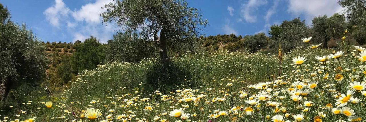 Views Apartment, Cortijo Fruitful Hills Apartment