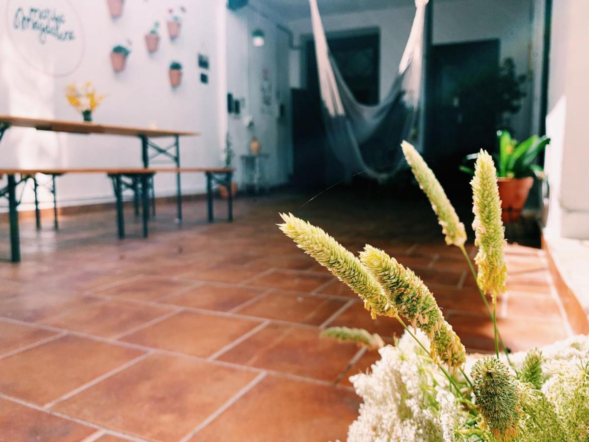 Maria Magdalena - 9 * Malaga