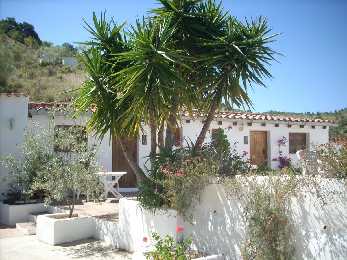 Appartement Casa Patricia *
