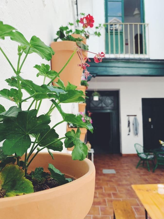 Accommodatie bij particulieren Maria Magdalena - 6 Málaga