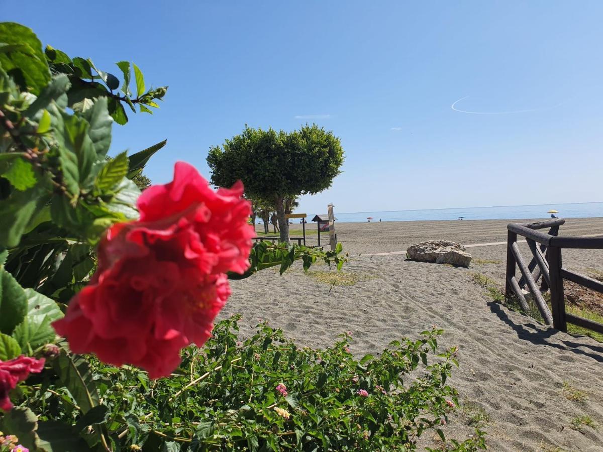 Wi-fi Alta Velocidad De 1 Gbps Rodeado De Naturaleza Málaga