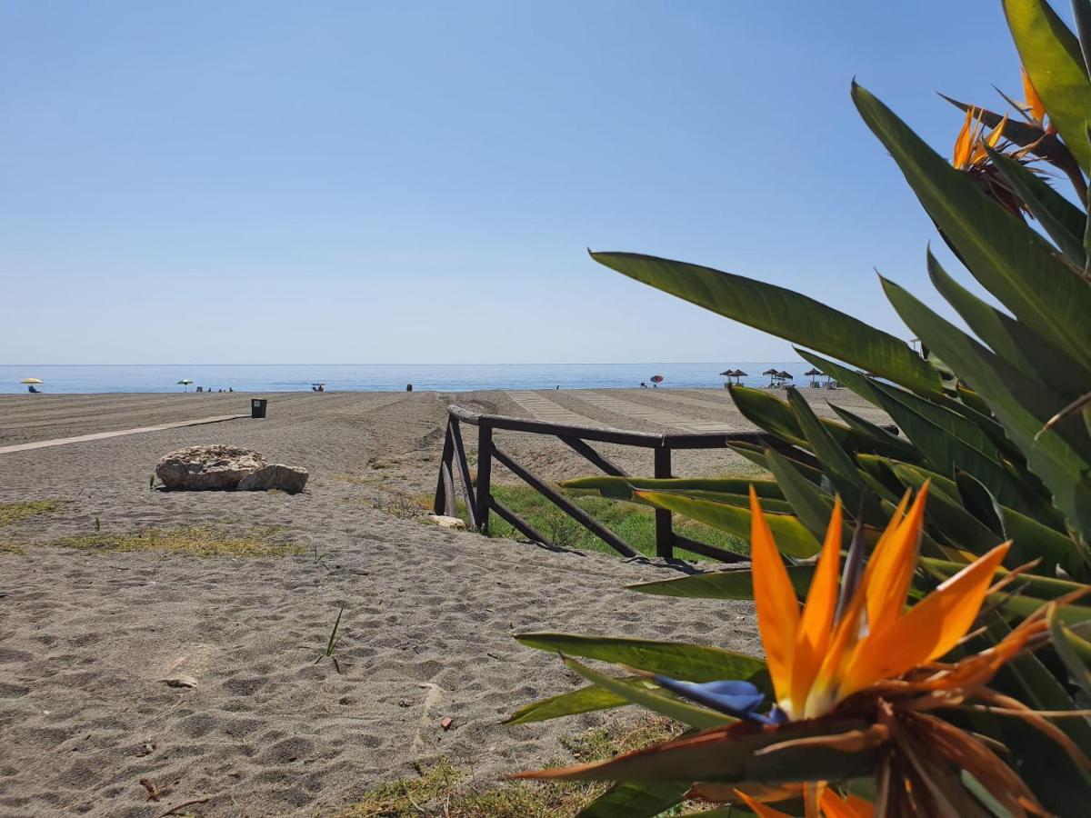 Boutique Near The Beach, 1 Gbps Wi-fi Apartment