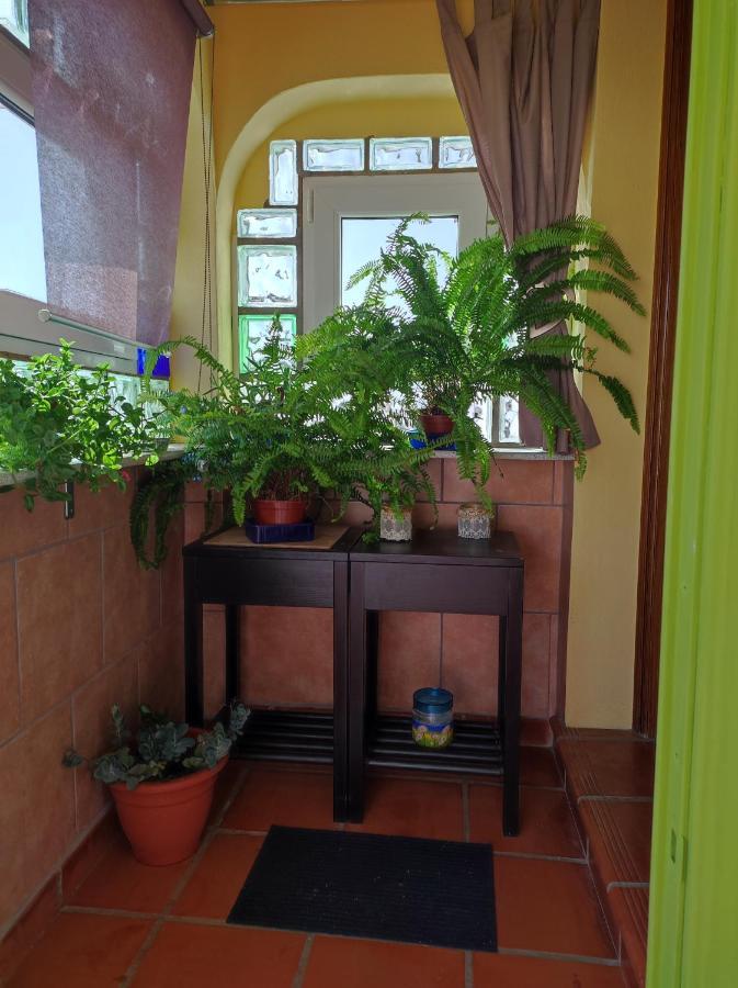 Apartment Naturalmente Torrox Park *