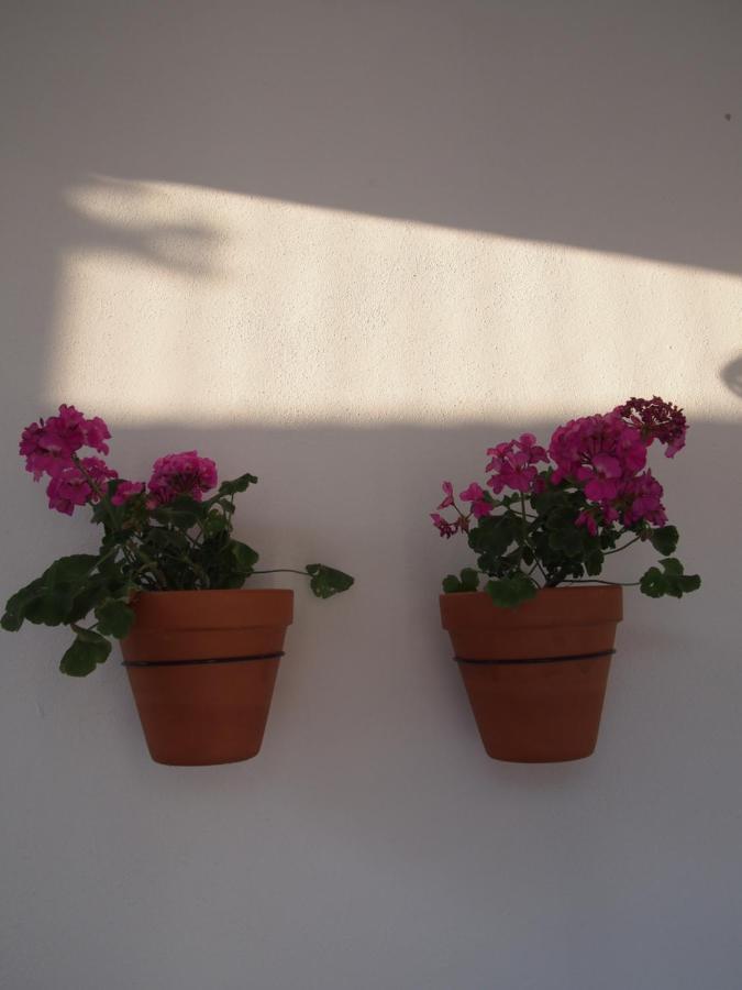 Lägenhet 9 Malaga, Three Unique With Private Plunge Pool Málaga