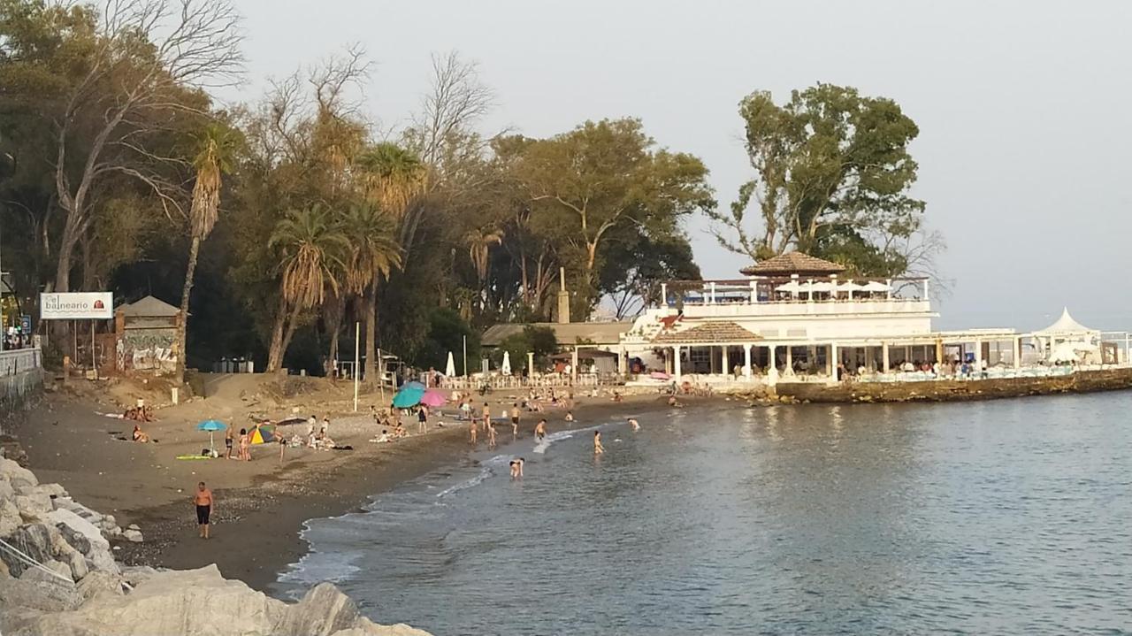 Beach&garden *