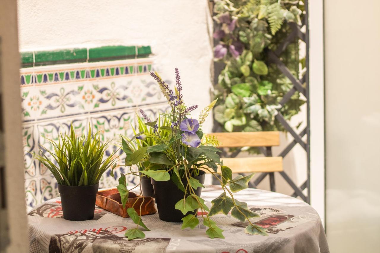 Apartamento Malaguena Salerosa 
