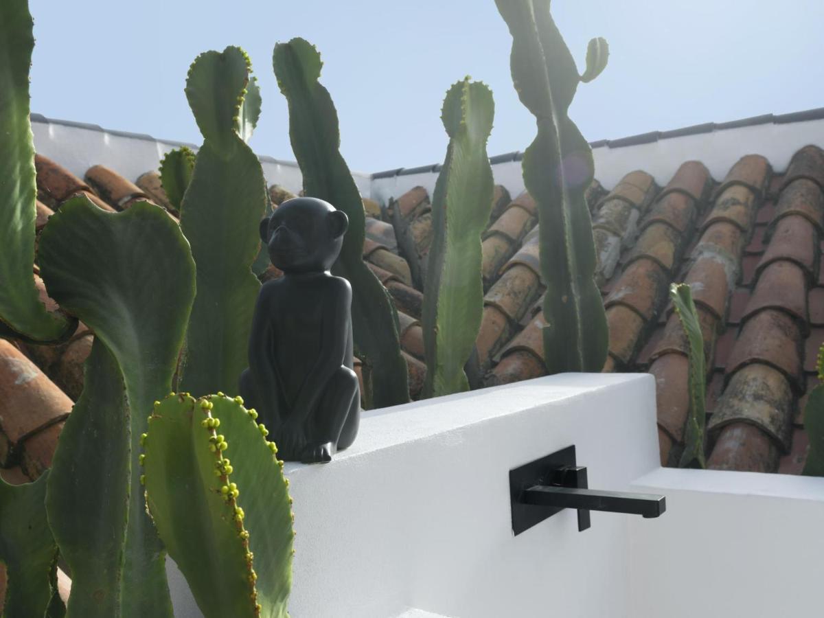 Lejlighed Old Center Penthouse