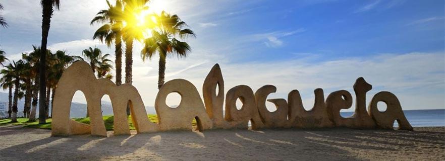 Encantador Bajo En * Málaga