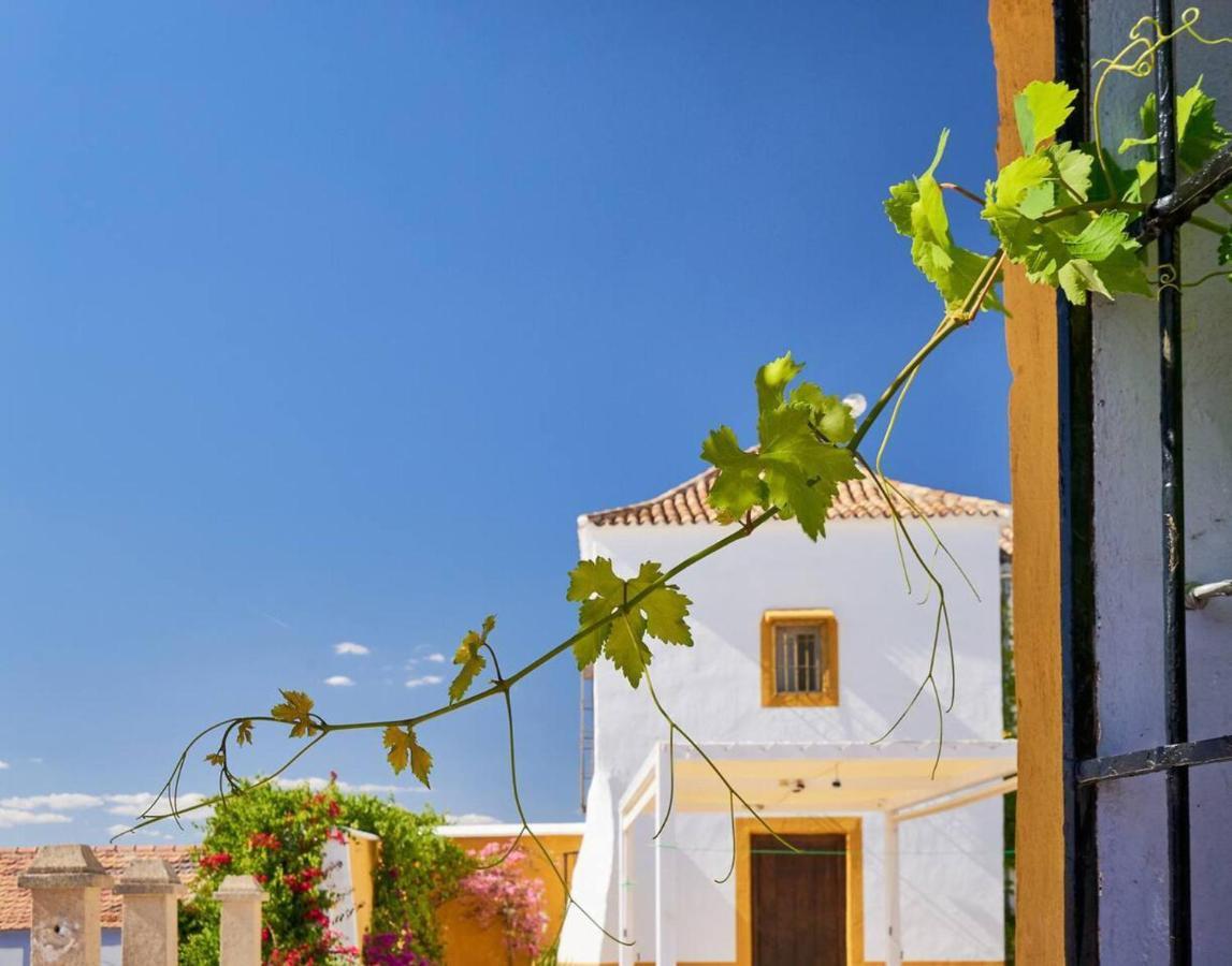 Beautiful 7-bed In Málaga