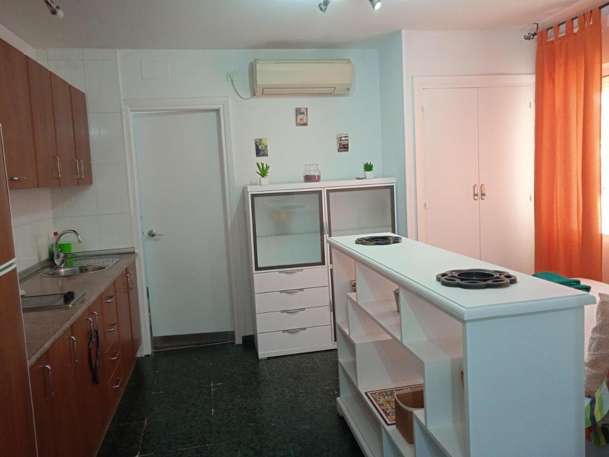 Apartamento Con Encanto 'larios Studio' Apartment *