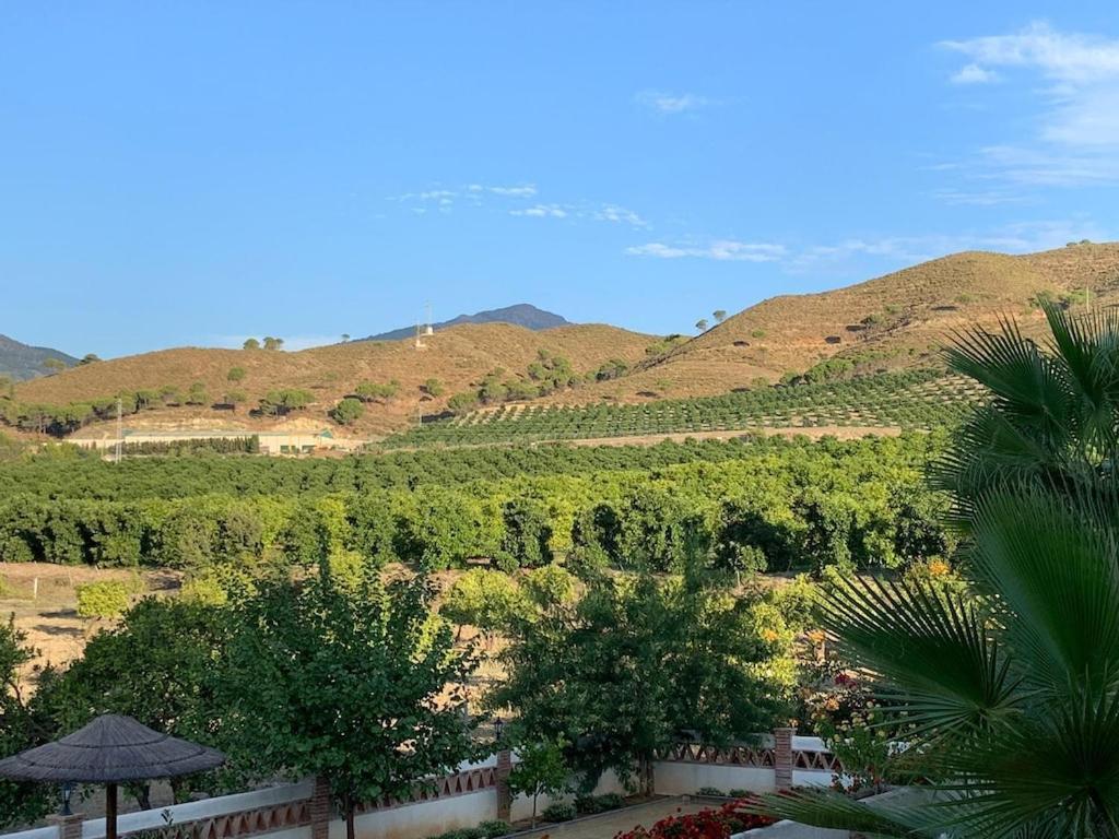 With Private Swimming Pool And Boules Court 40 Minutes From M Laga Villa