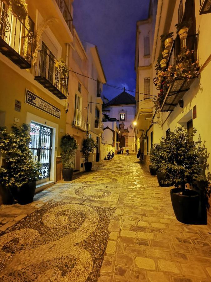 Hébergement de vacances Urban Rose , Superb Private House In Historical Center, With Sunny Rooftop
