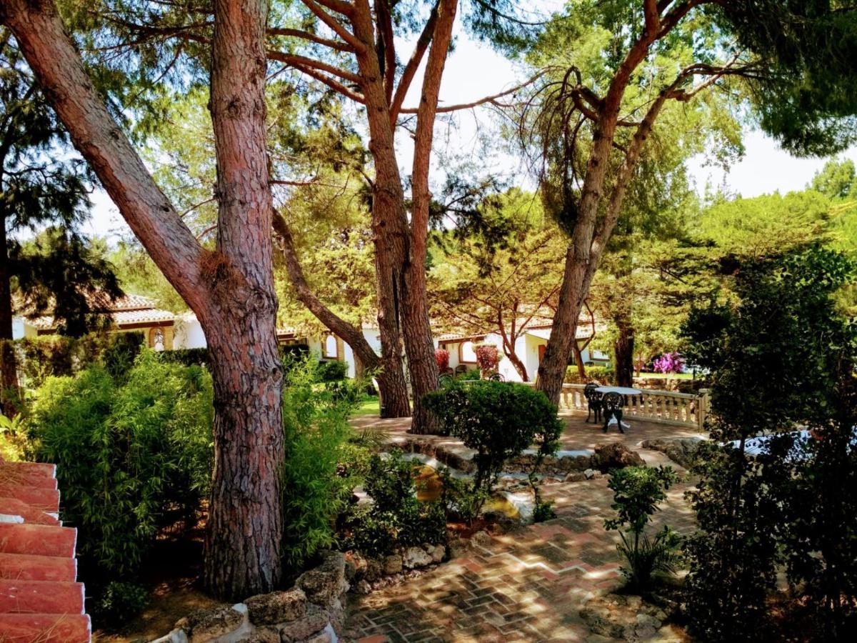 Tottam Art & Healthy Garden Alojamento de Turismo Selvagem *
