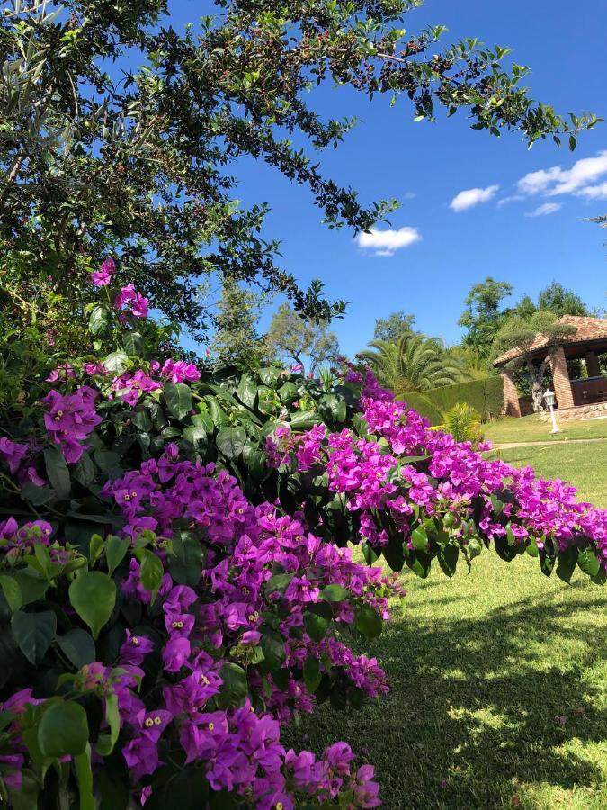 Alojamento de Turismo Selvagem Tottam Art & Healthy Garden *