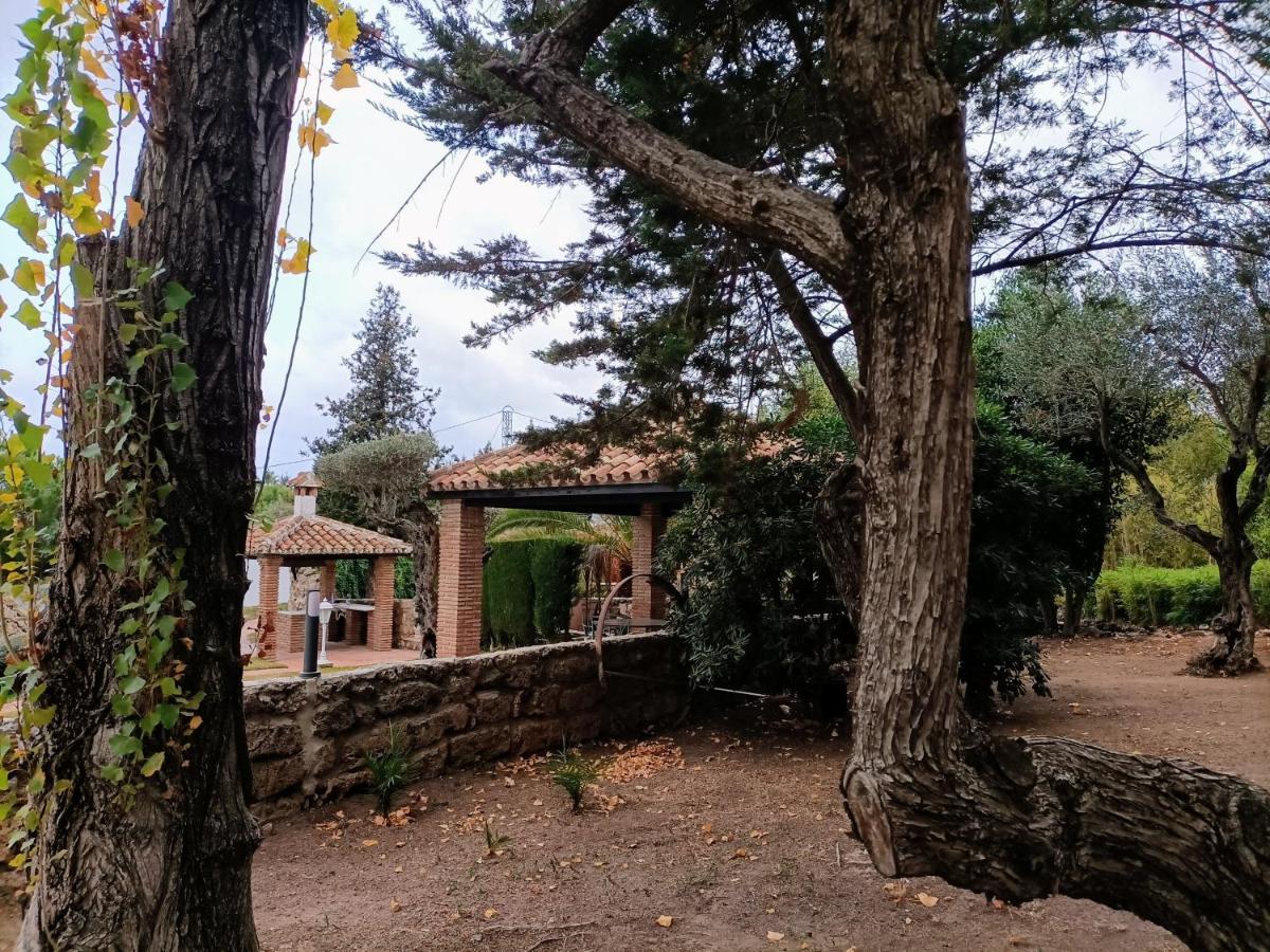 Tottam Art & Healthy Garden Alojamento de Turismo Selvagem *