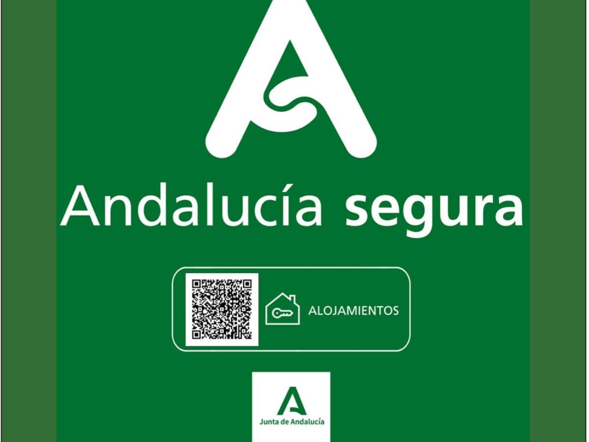 Holidays2malaga Plaza De Toros Vieja & Terrace & Optional Parking Apartamento