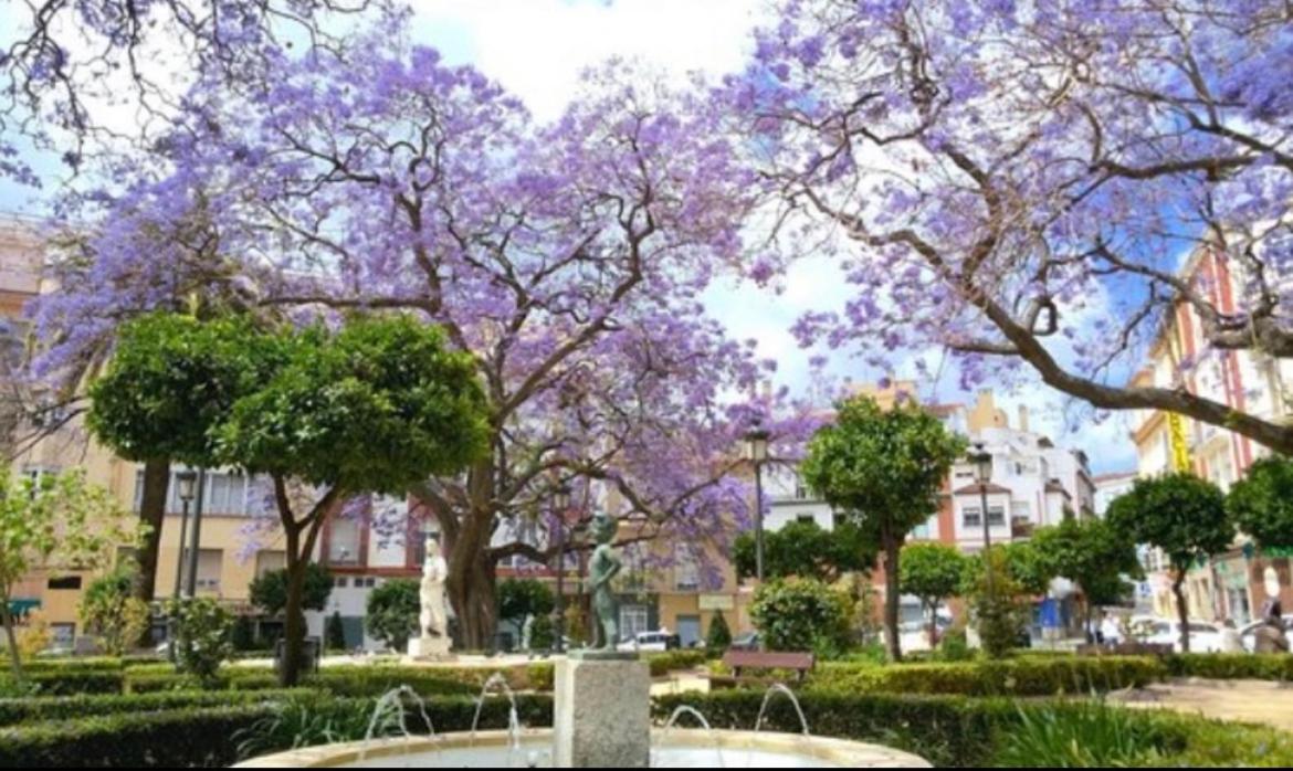 Apartamento Historical Center Ollerias *