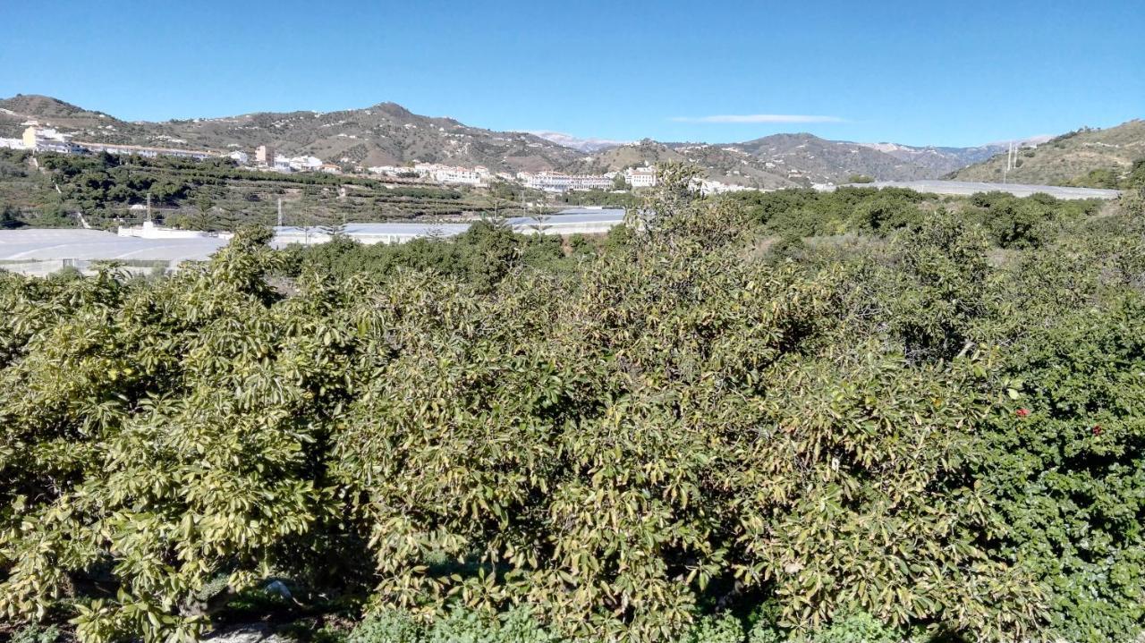 Сasa de vacaciones Casa Paloma Blanca Málaga