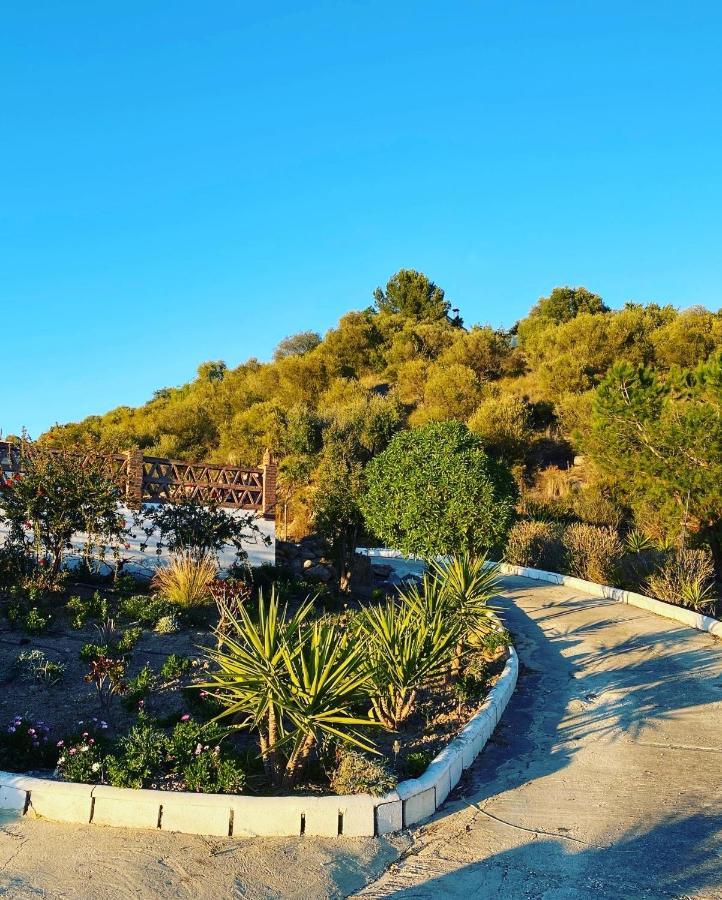 Azafran * Malaga