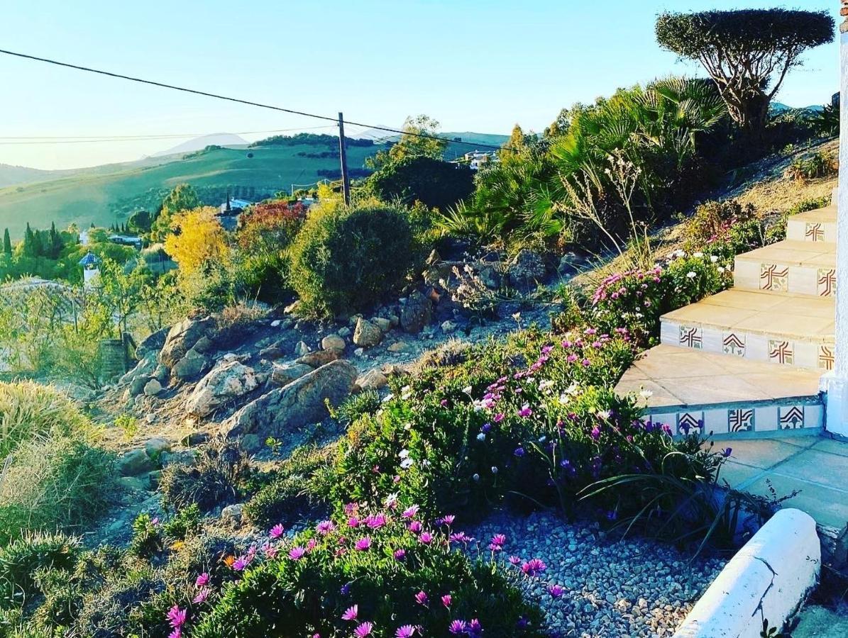 Azafran Villa Malaga