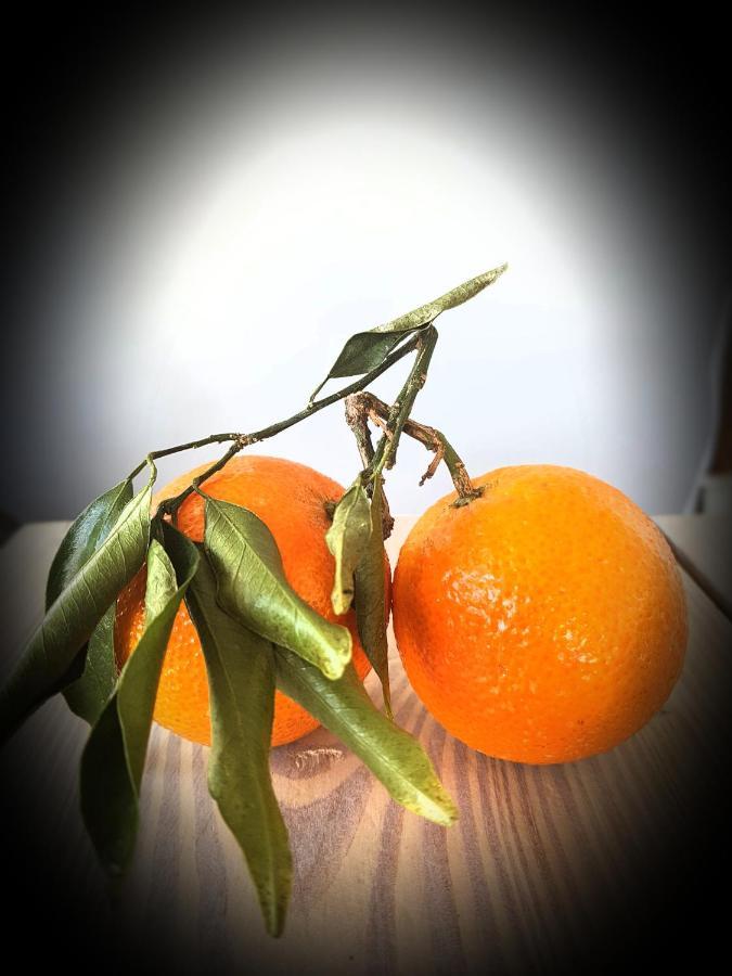 Naranja - Oase Van Rust Villa *