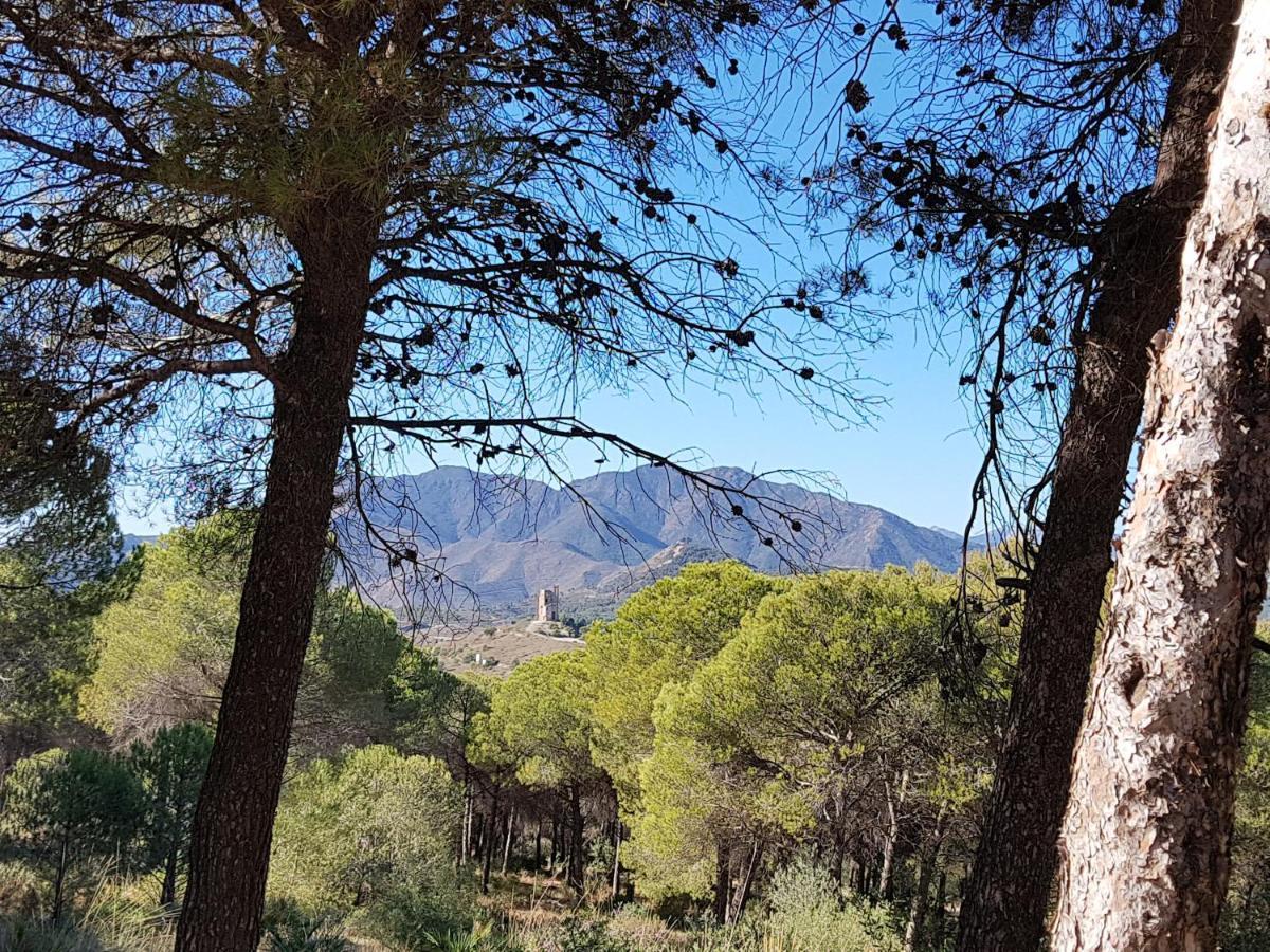 Naranja - Oase Van Rust Villa Málaga