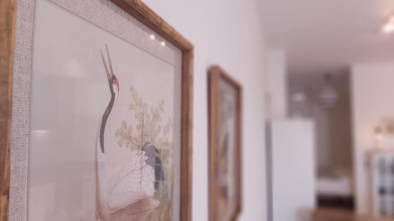 Apartamento Del Parque Flats Parras