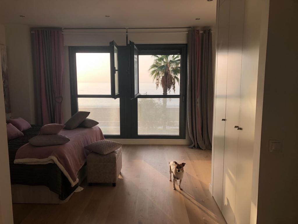 Paraiso Frente Al Mar Apartamento