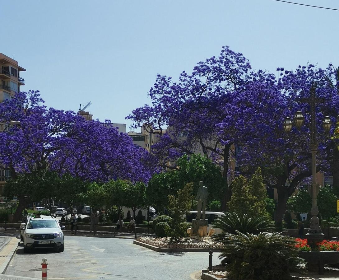 Encantador Bajo En * Málaga