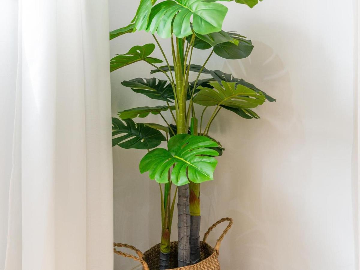 Gorgeous Renovated 2br Ac Appartement Málaga