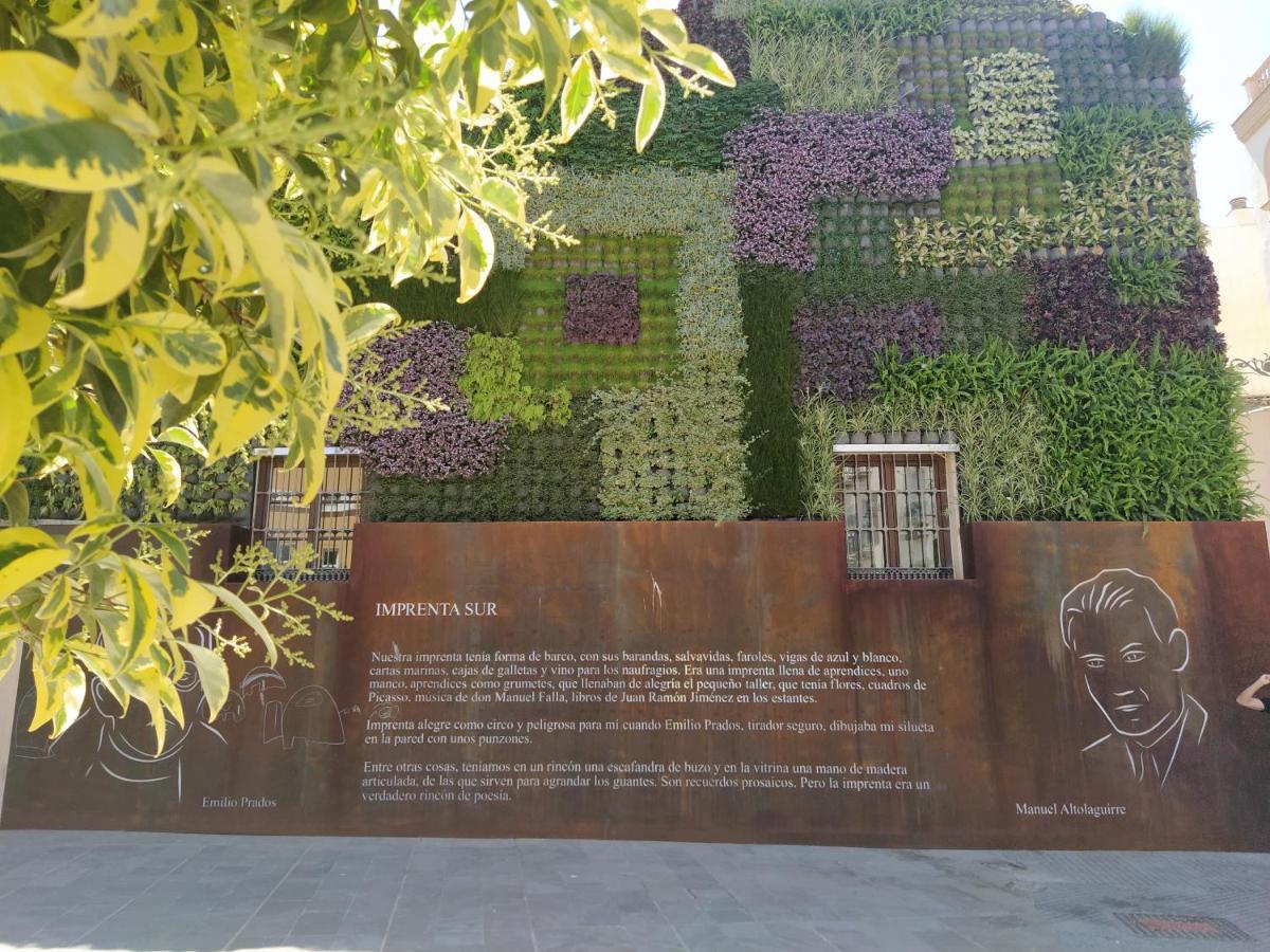 Acogedor Y Moderno Estudio En Capuchinos * Málaga