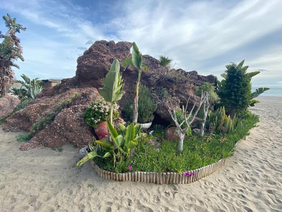 Higueronrentals Bahia Leilighet *