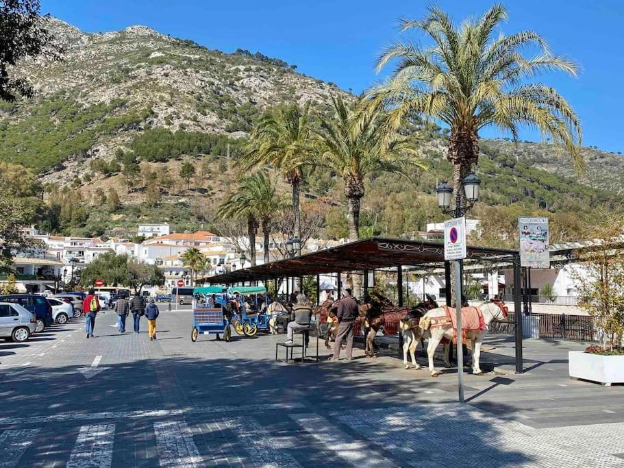 Higueronrentals Bahia Leilighet *