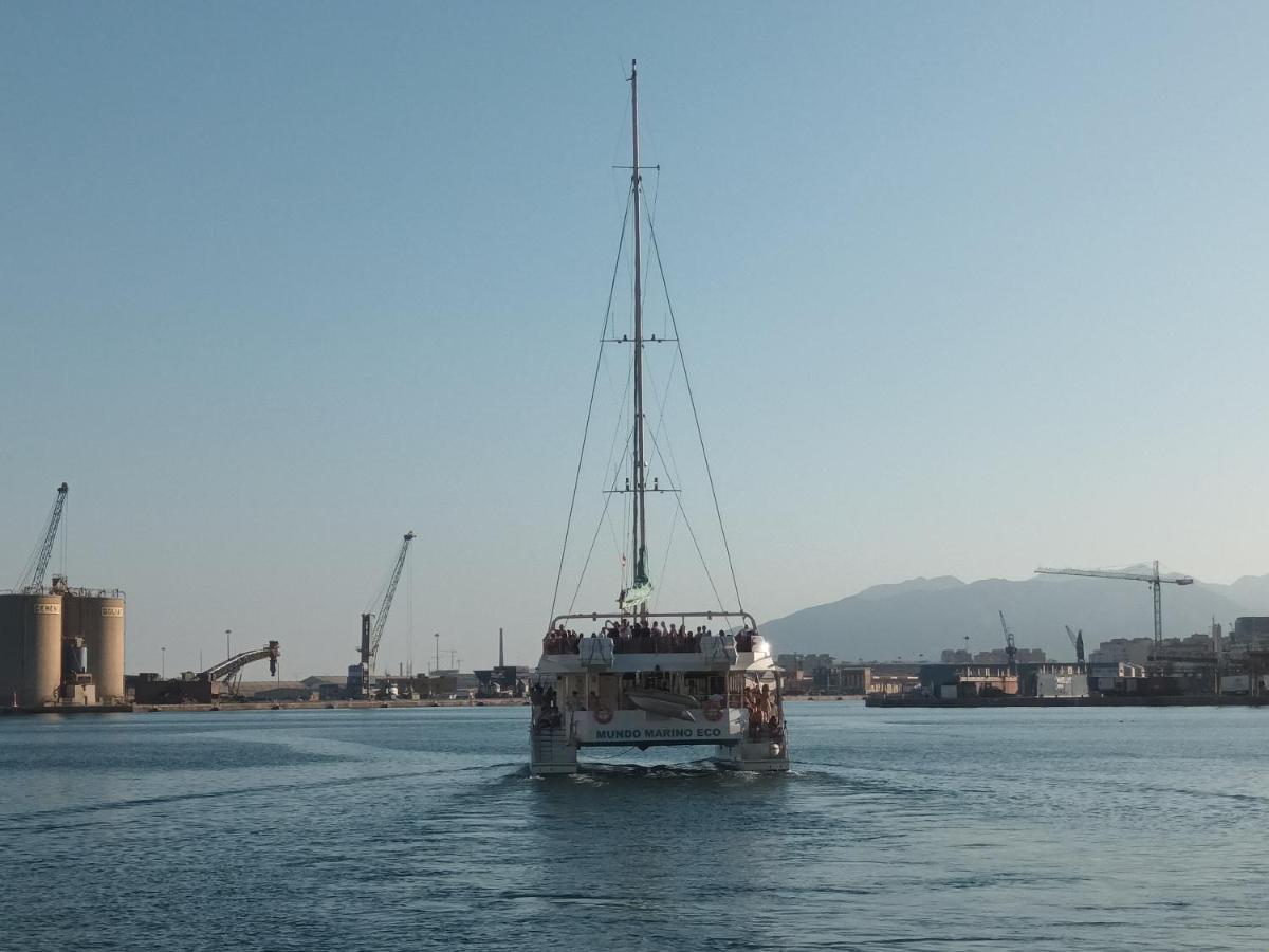 New Maritimo